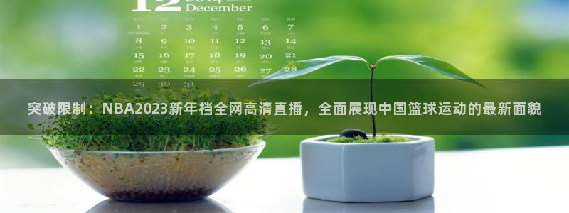 突破限制：NBA2023新年档全网高清直播，全面展现中国篮球运动的最新面貌