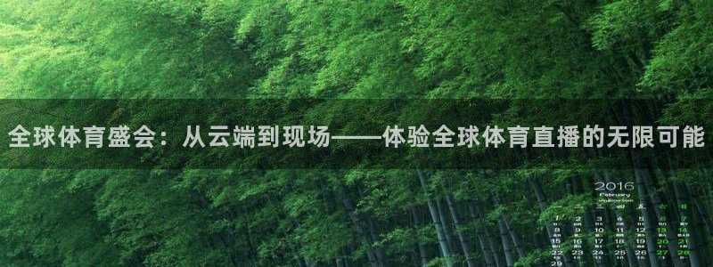 全球体育盛会：从云端到现场——体验全球体育直播的无限可能