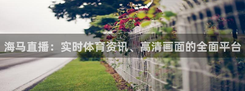 海马直播：实时体育资讯、高清画面的全面平台