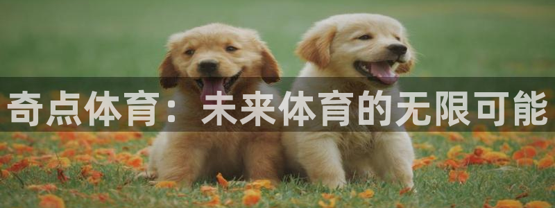 奇点体育：未来体育的无限可能