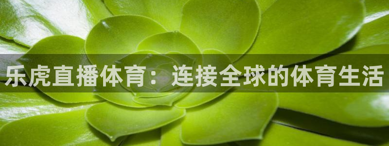 乐虎直播体育：连接全球的体育生活
