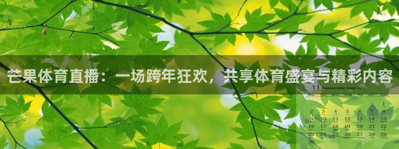 芒果体育直播：一场跨年狂欢，共享体育盛宴与精彩内容