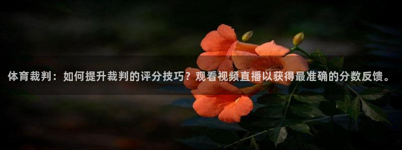 体育裁判：如何提升裁判的评分技巧？观看视频直播以获得最准确的分数反馈。