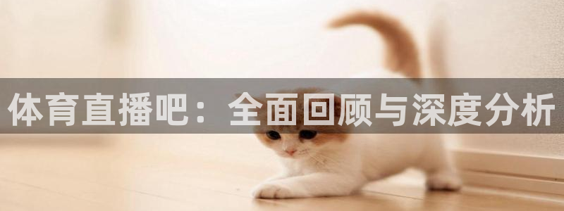 体育直播吧：全面回顾与深度分析