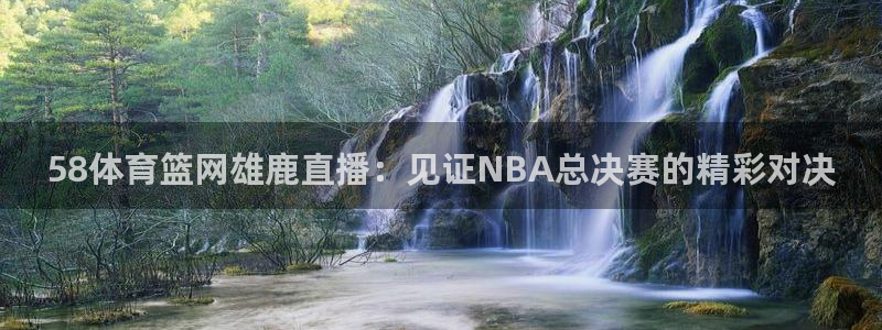 58体育篮网雄鹿直播：见证NBA总决赛的精彩对决