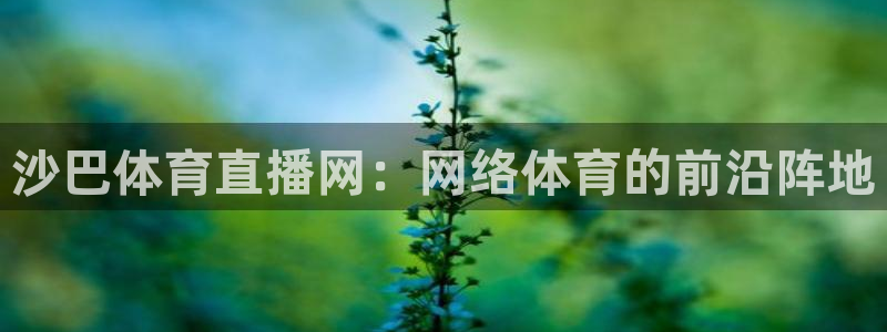 沙巴体育直播网：网络体育的前沿阵地