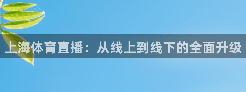 上海体育直播：从线上到线下的全面升级