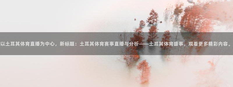 以土耳其体育直播为中心，新标题：土耳其体育赛事直播与分析——土耳其体育盛事，观看更多精彩内容。