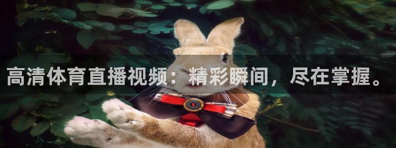 高清体育直播视频：精彩瞬间，尽在掌握。