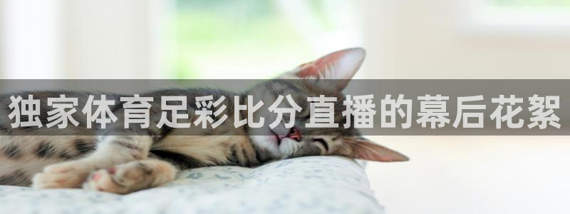 独家体育足彩比分直播的幕后花絮