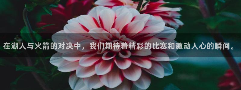 在湖人与火箭的对决中，我们期待着精彩的比赛和激动人心的瞬间。