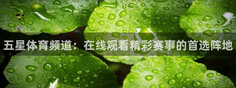 五星体育频道：在线观看精彩赛事的首选阵地