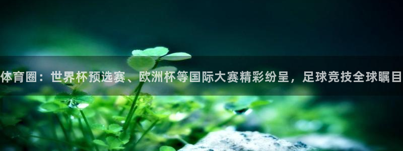 体育圈：世界杯预选赛、欧洲杯等国际大赛精彩纷呈，足球竞技全球瞩目