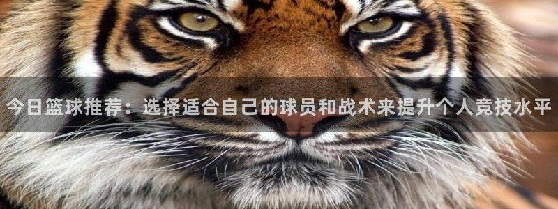 今日篮球推荐：选择适合自己的球员和战术来提升个人竞技水平