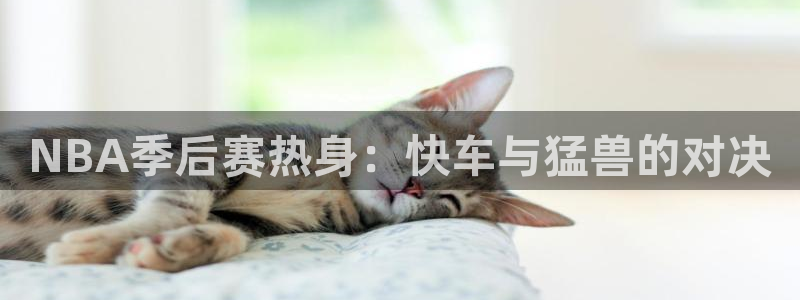 NBA季后赛热身：快车与猛兽的对决