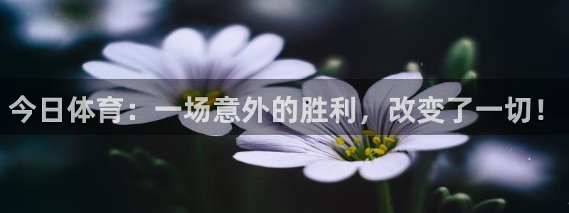 今日体育：一场意外的胜利，改变了一切！