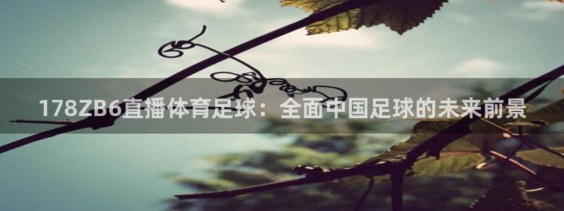 178ZB6直播体育足球：全面中国足球的未来前景