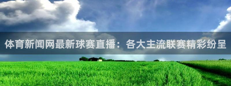 体育新闻网最新球赛直播：各大主流联赛精彩纷呈