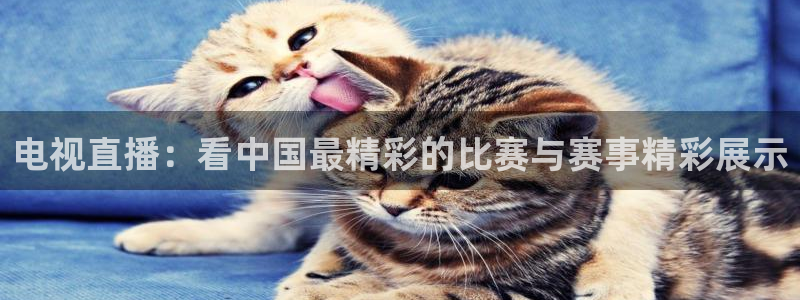 电视直播：看中国最精彩的比赛与赛事精彩展示