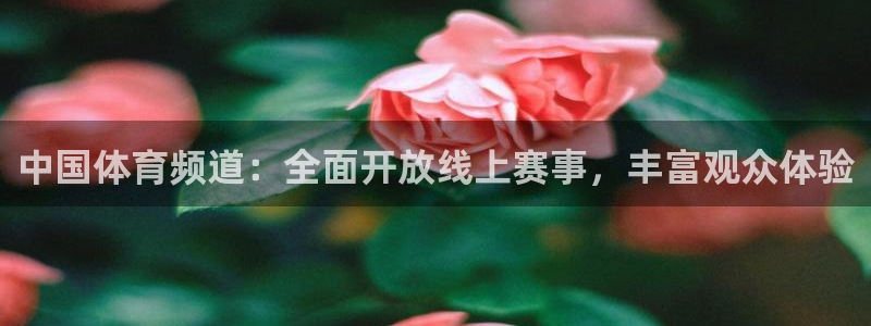 中国体育频道：全面开放线上赛事，丰富观众体验