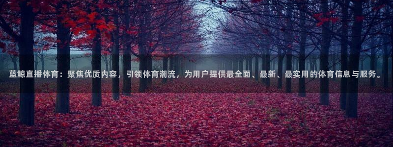 蓝鲸直播体育：聚焦优质内容，引领体育潮流，为用户提供最全面、最新、最实用的体育信息与服务。