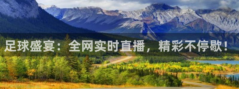 足球盛宴：全网实时直播，精彩不停歇！