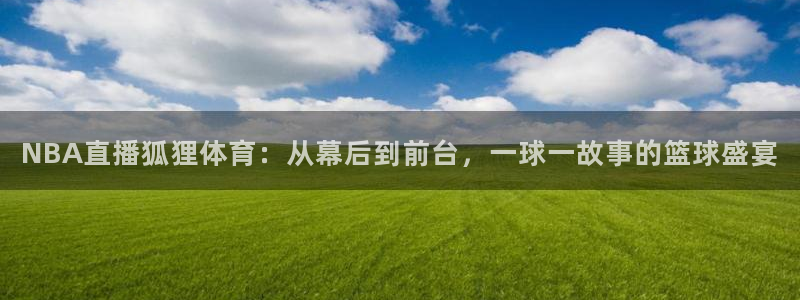 NBA直播狐狸体育：从幕后到前台，一球一故事的篮球盛宴
