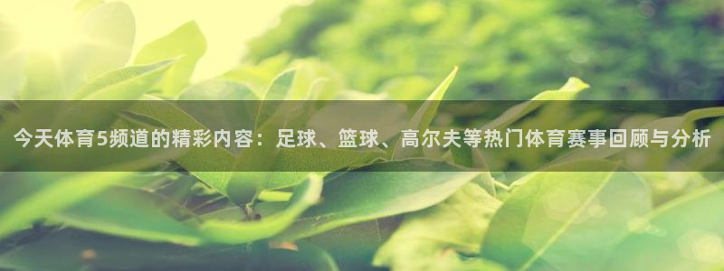 今天体育5频道的精彩内容：足球、篮球、高尔夫等热门体育赛事回顾与分析
