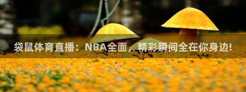 袋鼠体育直播：NBA全面，精彩瞬间全在你身边!