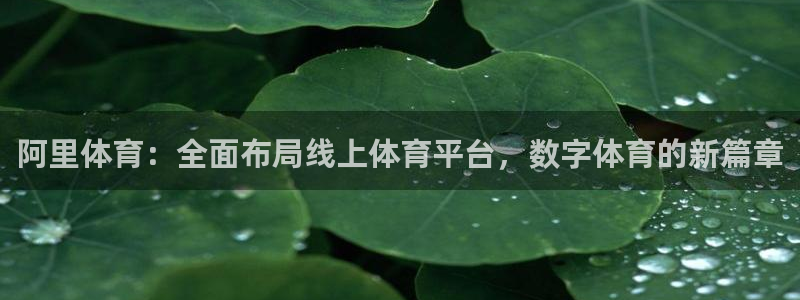 阿里体育：全面布局线上体育平台，数字体育的新篇章