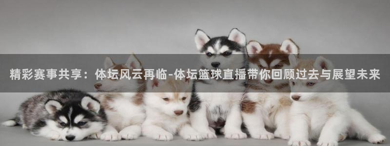 精彩赛事共享：体坛风云再临-体坛篮球直播带你回顾过去与展望未来