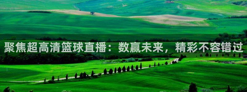 聚焦超高清篮球直播：数赢未来，精彩不容错过