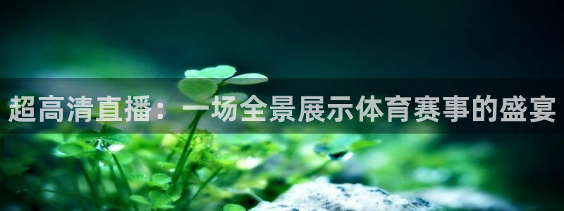 超高清直播：一场全景展示体育赛事的盛宴