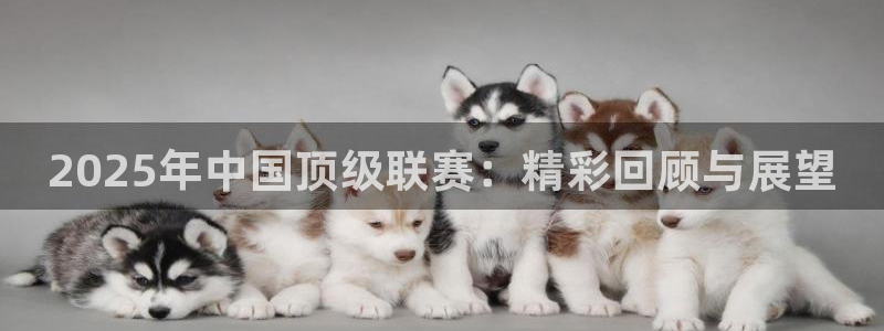 2025年中国顶级联赛：精彩回顾与展望