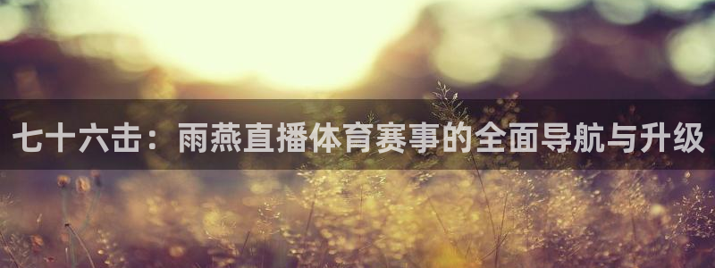 七十六击：雨燕直播体育赛事的全面导航与升级