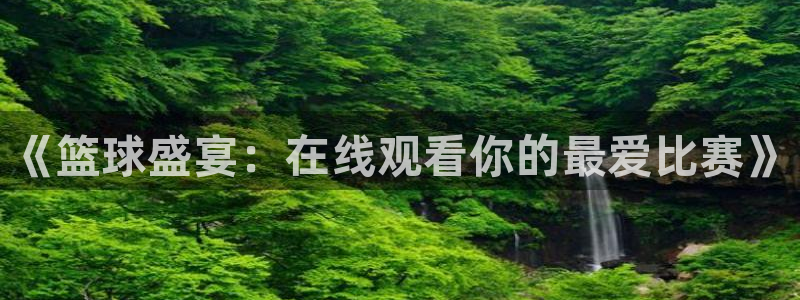 《篮球盛宴：在线观看你的最爱比赛》