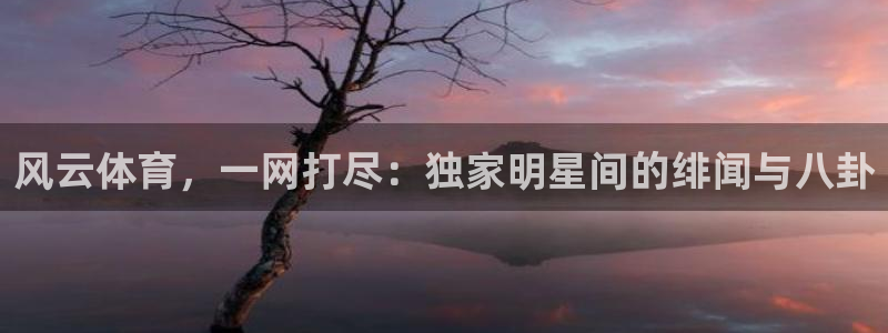 风云体育，一网打尽：独家明星间的绯闻与八卦
