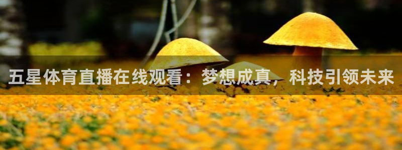 五星体育直播在线观看：梦想成真，科技引领未来