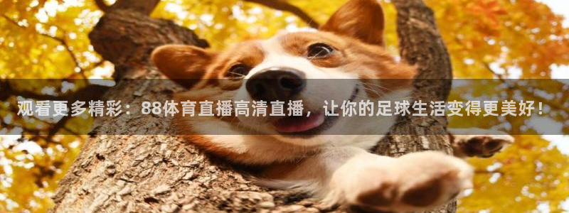 观看更多精彩：88体育直播高清直播，让你的足球生活变得更美好！