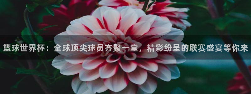 篮球世界杯：全球顶尖球员齐聚一堂，精彩纷呈的联赛盛宴等你来