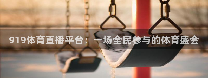 919体育直播平台：一场全民参与的体育盛会