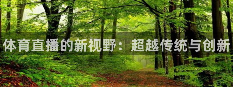 体育直播的新视野：超越传统与创新