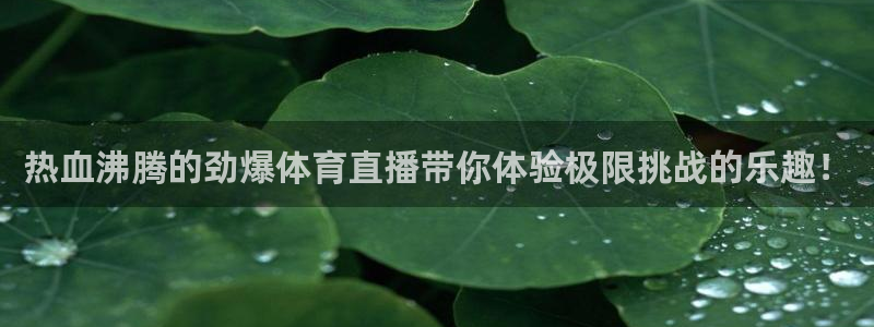 热血沸腾的劲爆体育直播带你体验极限挑战的乐趣！