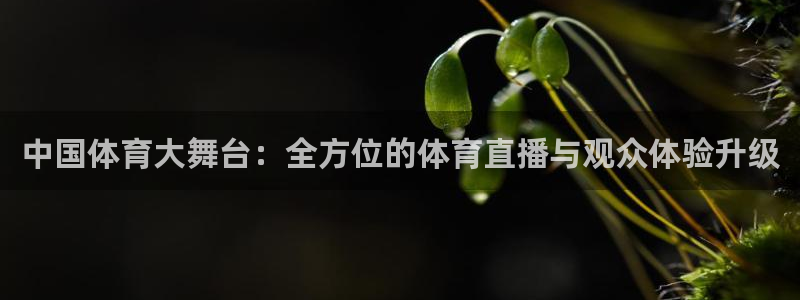 中国体育大舞台：全方位的体育直播与观众体验升级