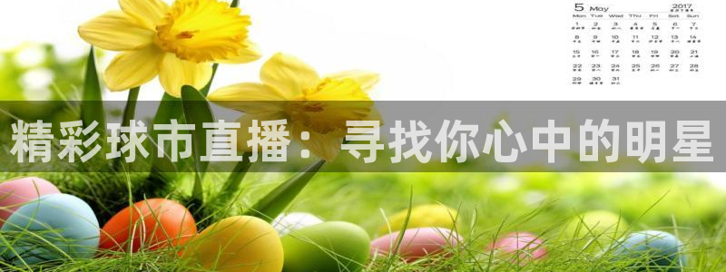 精彩球市直播：寻找你心中的明星