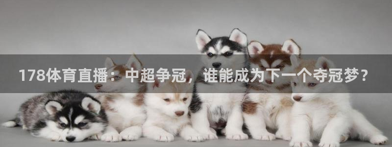 178体育直播：中超争冠，谁能成为下一个夺冠梦？