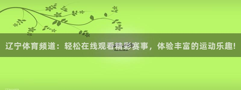 辽宁体育频道：轻松在线观看精彩赛事，体验丰富的运动乐趣!