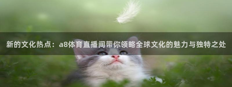 新的文化热点：a8体育直播间带你领略全球文化的魅力与独特之处