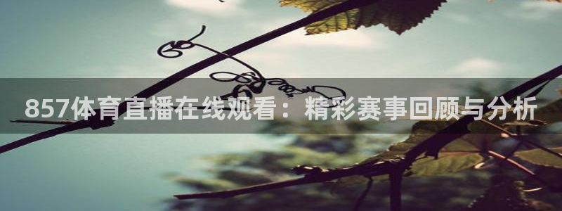 857体育直播在线观看：精彩赛事回顾与分析