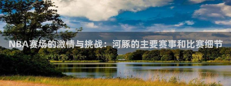 NBA赛场的激情与挑战：河豚的主要赛事和比赛细节